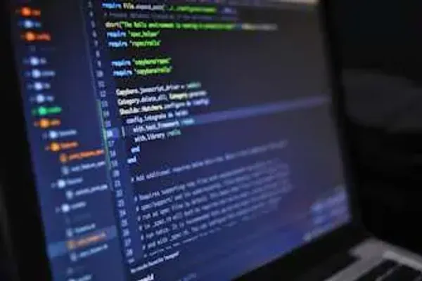 Custom software development