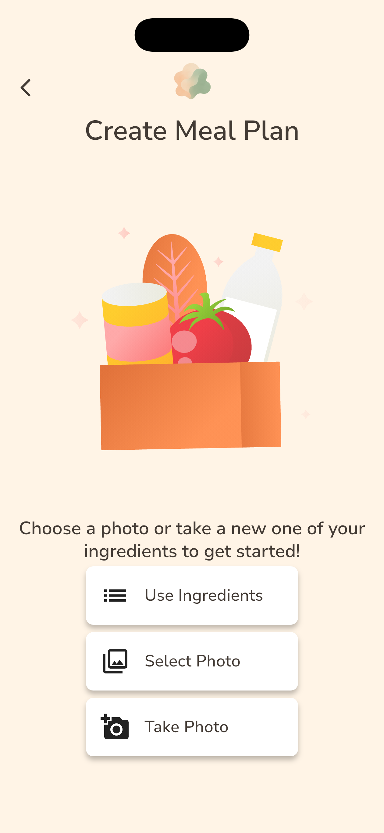 Mindful Grub app — Create Meal Plan screen showing options to use existing ingredients, select photo, or take photo